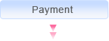 Payment